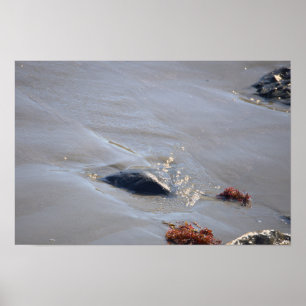 Rotsen in de Oceaan Poster