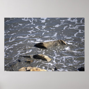 Rotsen in de Oceaan Poster