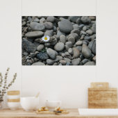 rotsen poster (Keuken)