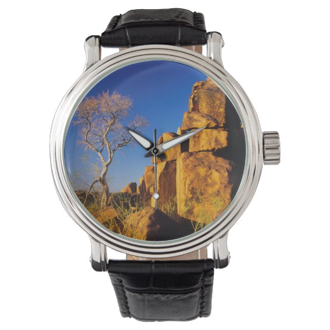 Rotsformatie en boom, reuzen-speeltuin horloge (Voorkant)