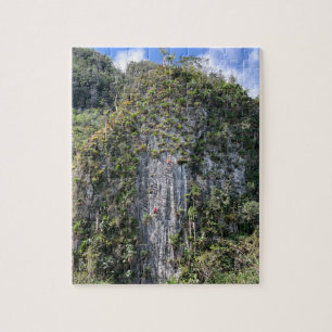Rotsklimmen Legpuzzel