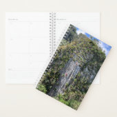 Rotsklimmen Planner (Display)