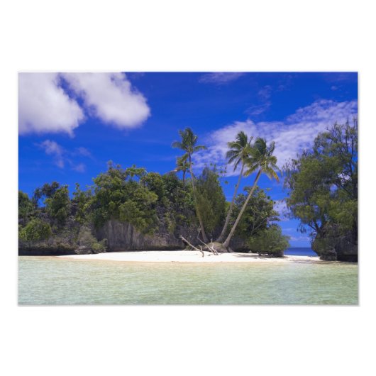 Rotskust Palau Foto Afdruk (Voorkant)