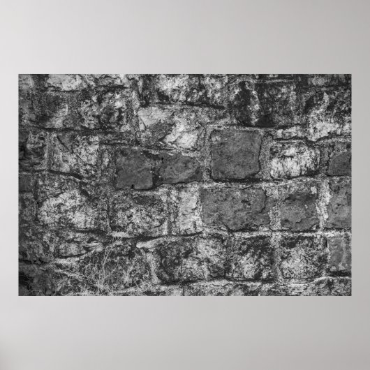 Rotsmuur Poster (Voorkant)