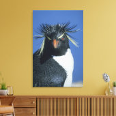 Rotspenguin (Eudyptes chrysocome) Canvas Afdruk (Insitu (Woonkamer))
