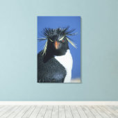 Rotspenguin (Eudyptes chrysocome) Canvas Afdruk (Insitu (Houten vloer))