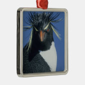 Rotspenguin (Eudyptes chrysocome) Metalen Ornament (Rechts)