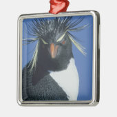 Rotspenguin (Eudyptes chrysocome) Metalen Ornament (Links)