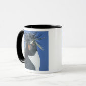 Rotspenguin (Eudyptes chrysocome) Mok (Voorkant links)