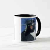 Rotspenguin (Eudyptes chrysocome) Mok (Voorkant rechts)