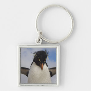 Rotspenguin Eudyptes chrysocome Sleutelhanger