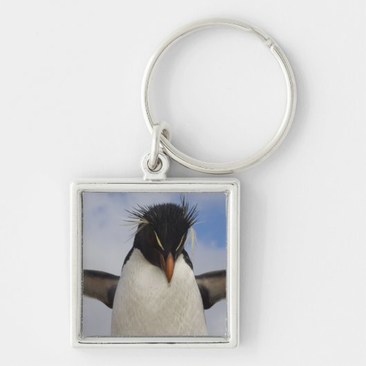Rotspenguin Eudyptes chrysocome Sleutelhanger (Voorkant)