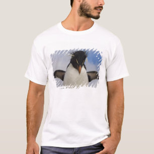 Rotspenguin Eudyptes chrysocome T-shirt