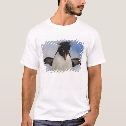 Rotspenguin Eudyptes chrysocome T-shirt (Voorkant)