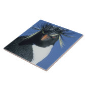 Rotspenguin (Eudyptes chrysocome) Tegeltje (Zijkant)