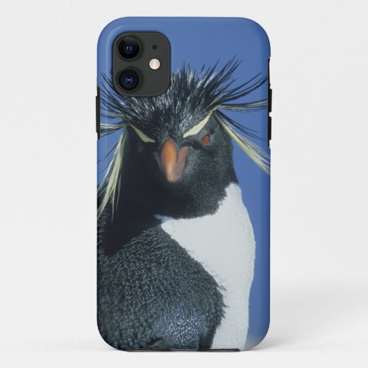 Rotspinguïn (Eudyptes chrysocome) Case-Mate iPhone Case (Achterkant)
