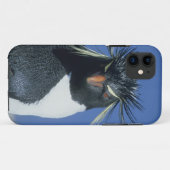 Rotspinguïn (Eudyptes chrysocome) Case-Mate iPhone Case (Achterkant (horizontaal))
