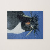 Rotspinguïn (Eudyptes chrysocome) Legpuzzel (Horizontaal)