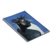 Rotspinguïn (Eudyptes chrysocome) Notitieboek (Rechterzijde)