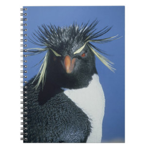Rotspinguïn (Eudyptes chrysocome) Notitieboek