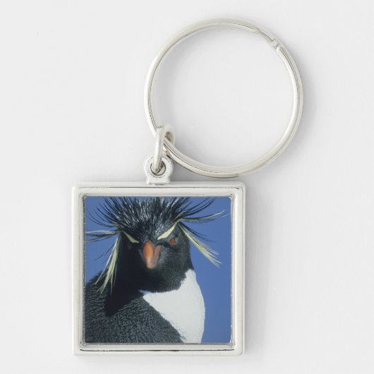 Rotspinguïn (Eudyptes chrysocome) Sleutelhanger (Voorkant)