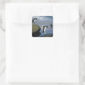 Rotspinguïns, Eudyptes chrysocome), Vierkante Sticker (Tas)