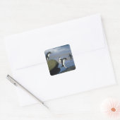 Rotspinguïns, Eudyptes chrysocome), Vierkante Sticker (Envelop)
