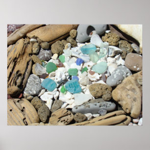 Rotstuin kunstprints Zee Schelpen Zee Glas Fossiel Poster