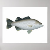 rotsvlagstaart poster (Voorkant)