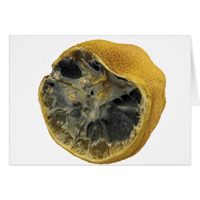 Rotten lemon (Voorkant Horizontaal)