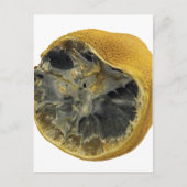 Rotten lemon briefkaart (Voorkant)