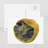 Rotten lemon briefkaart (Voorkant / Achterkant)