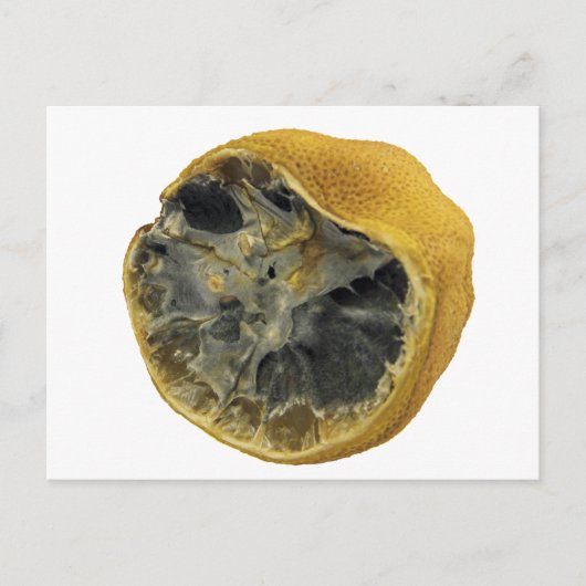 Rotten lemon briefkaart (Voorkant)