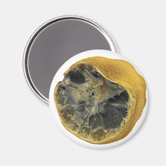 Rotten lemon magneet (Voorkant / Achterkant)