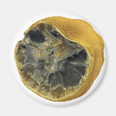 Rotten lemon magneet (Voorkant)