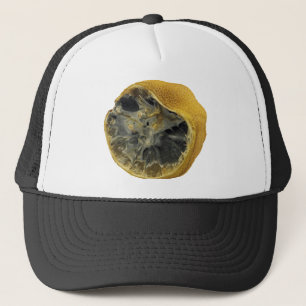 Rotten lemon trucker pet