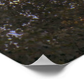 Rotterdam, Euromast Poster (Hoek)