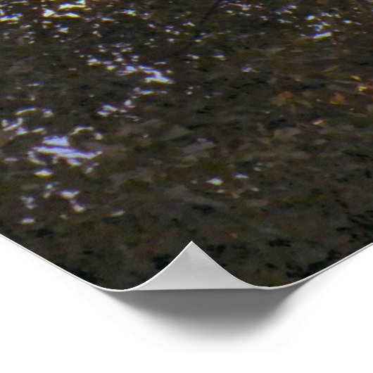 Rotterdam, Euromast Poster (Hoek)