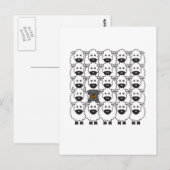 Rottie in de schapen briefkaart (Voorkant / Achterkant)