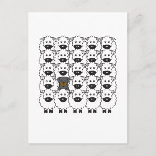 Rottie in de schapen briefkaart