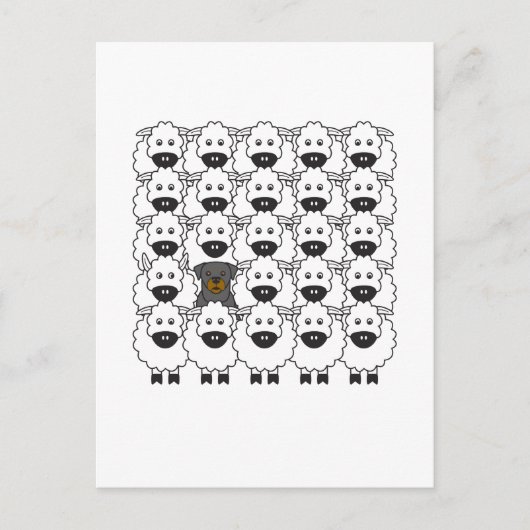 Rottie in de schapen briefkaart (Voorkant)