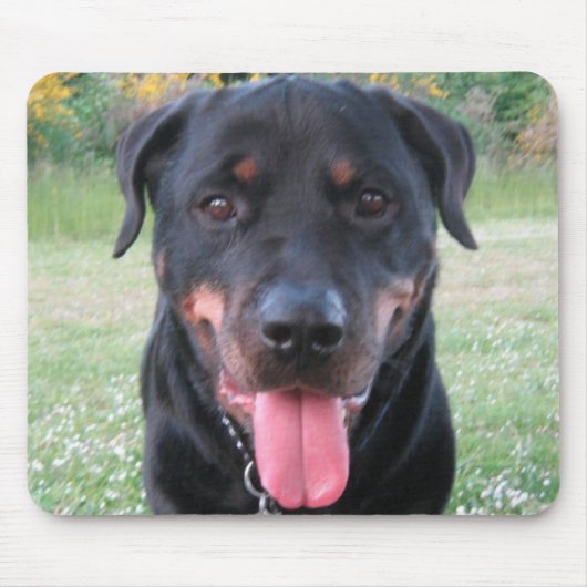 Rottie Muismat (Voorkant)