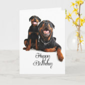 Rottie Verjaardag Kaart (Gele Bloem)