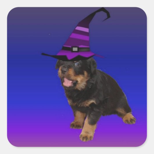 Rottie Witch Vierkante Sticker (Voorkant)