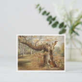 Rotting Tree beroemd gemaakt door Elizabeth Murray Briefkaart (Staand voorkant)