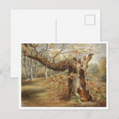 Rotting Tree beroemd gemaakt door Elizabeth Murray Briefkaart (Voorkant / Achterkant)