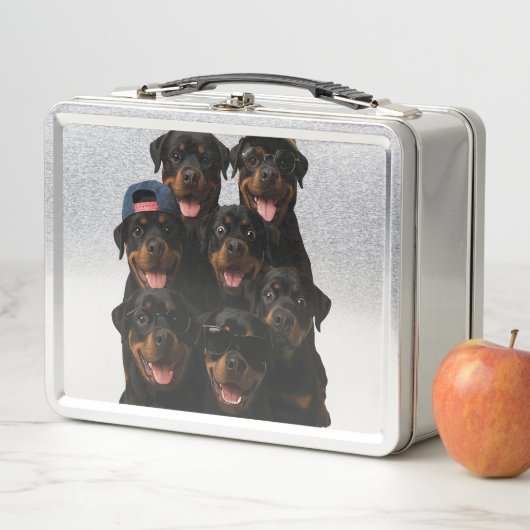 Rottweiler (In situ)