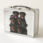 Rottweiler (Voorkant)