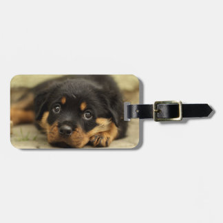 Rottweiler20150901 Bagagelabel