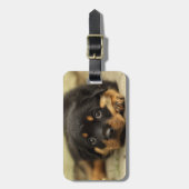 Rottweiler20150901 Bagagelabel (Voorkant verticaal)